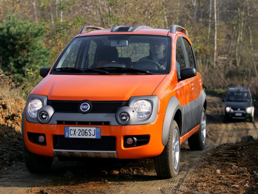  Fiat Panda Cross 2005 года  (фото 39 из 48)